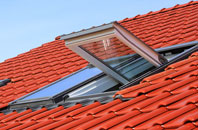 Painscastle roof window